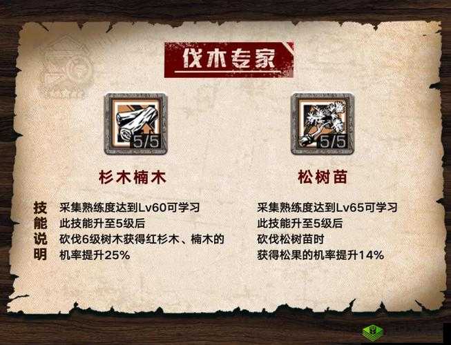 明日之后特级伐木专家技能攻略:详细加点推荐指南