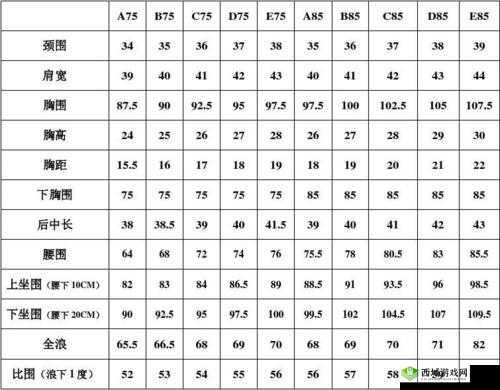 欧洲尺码日本尺码专线图片:尺码详情一览