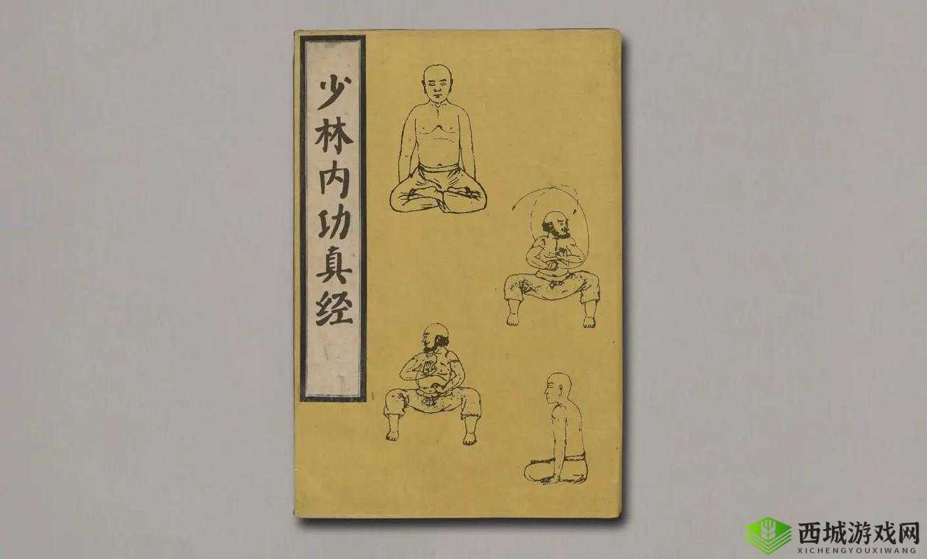 古今江湖：探秘少林寺武学秘籍，学会这些你也能成为武林高手