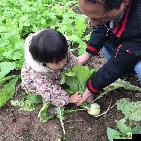 旅行者与丽莎拔萝卜:一场奇妙的田园之旅