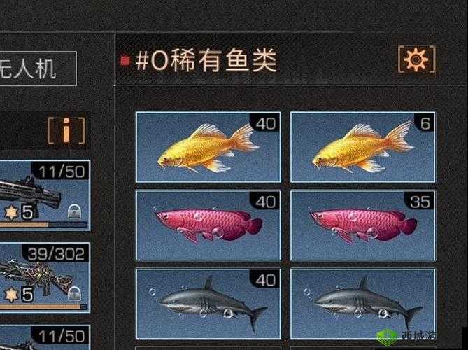 明日之后锦鲤相关：锦鲤价格及锦鲤金条价格全知晓