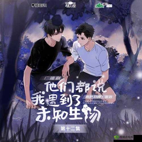 绑定 jy 收集系统姑父:一个独特的存在