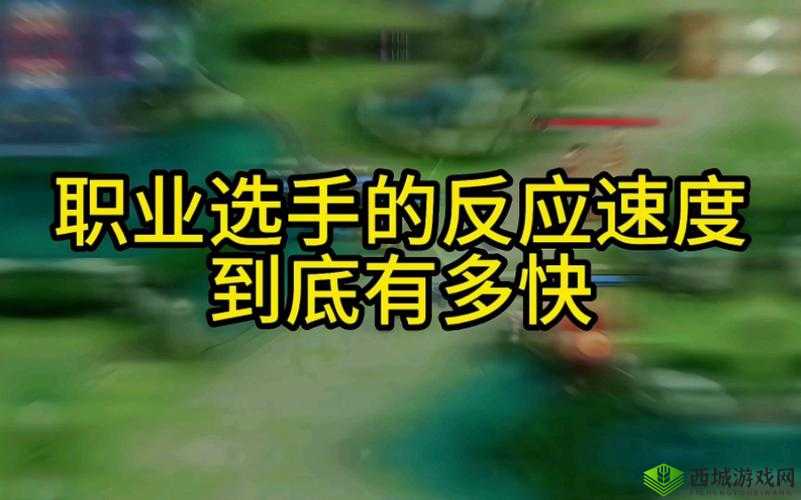 这么快就有反应了：惊人速度