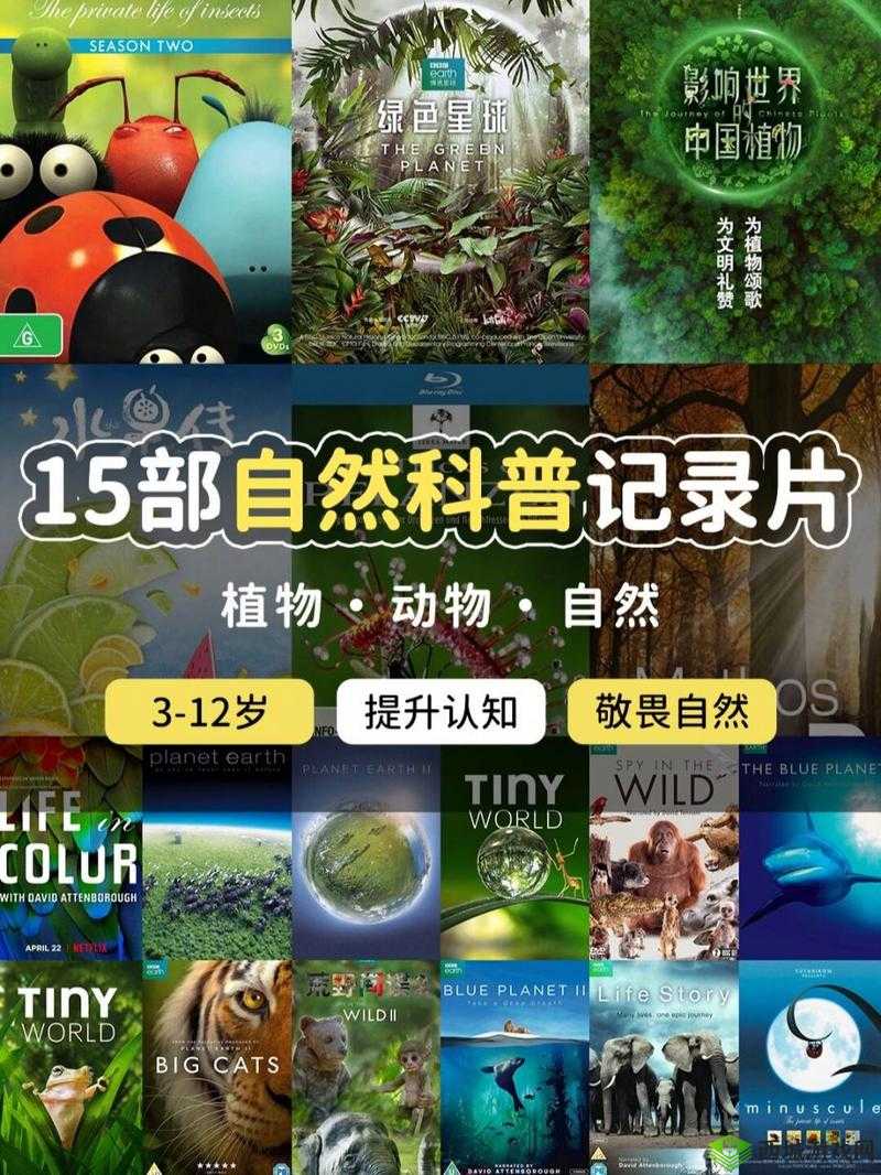 仙踪林 Company-Limited19:探索自然的奥秘