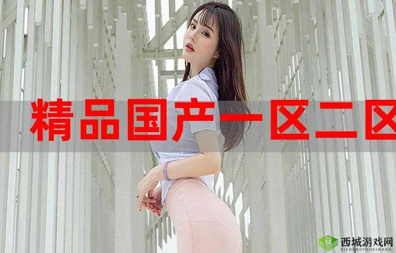 99 精产国品一二三产：打造高品质产品的秘诀