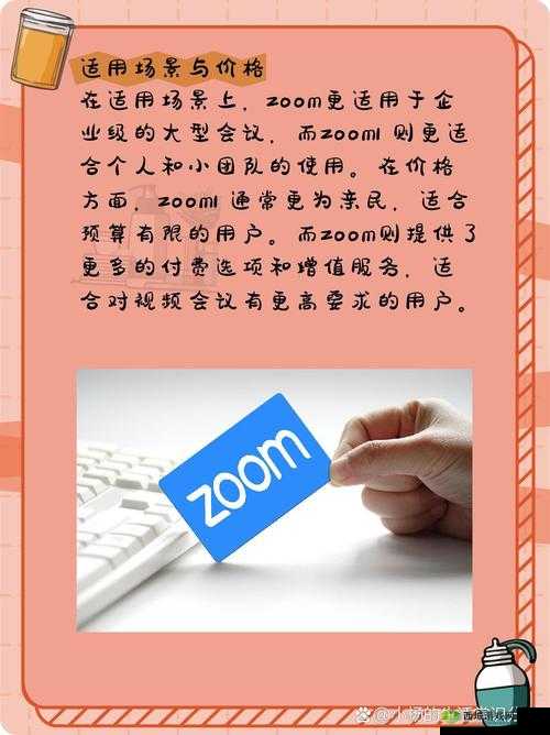 组队指南-美国ZOOM 人与 ZOOM 欧：实用技巧分享