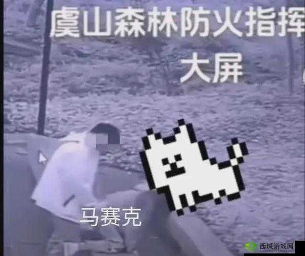 亲吻拔萝卜原声：深夜的秘密