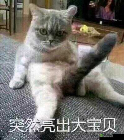 八寸长的大宝贝：令人瞩目的存在