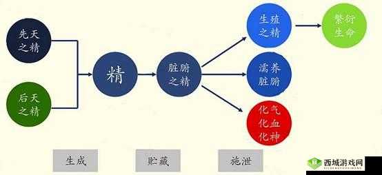 精二和精三的区别:深入剖析与要点归纳