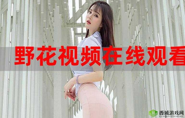 野花日本韩国视频免费高清观看宣布免费：用户至上