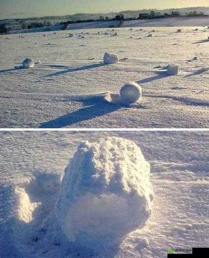 两团雪球快速摇动:奇妙的自然奇观