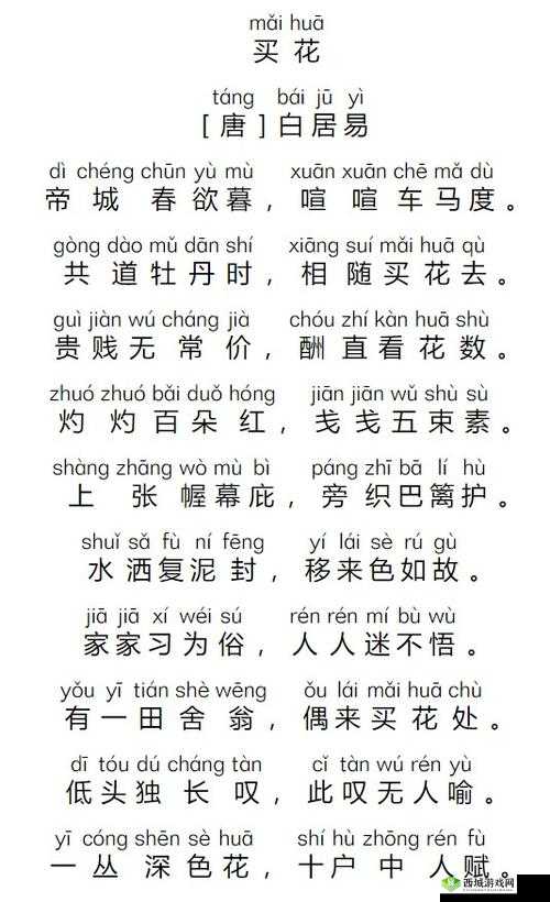 共道牡丹时,相随买花去:赏花之约