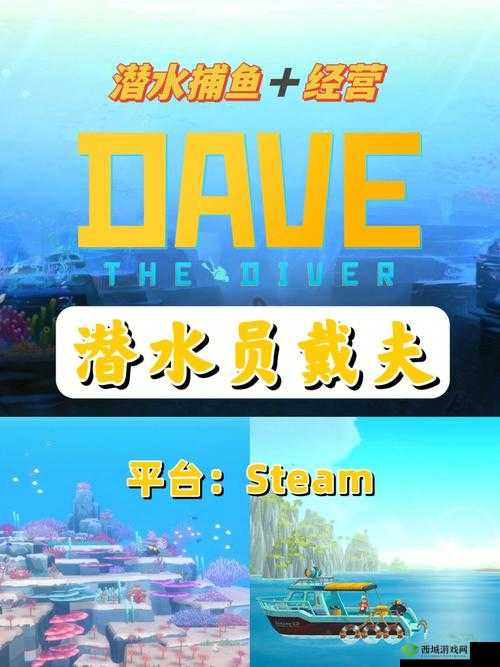 潜水员戴夫2024年更新计划:全新内容前瞻