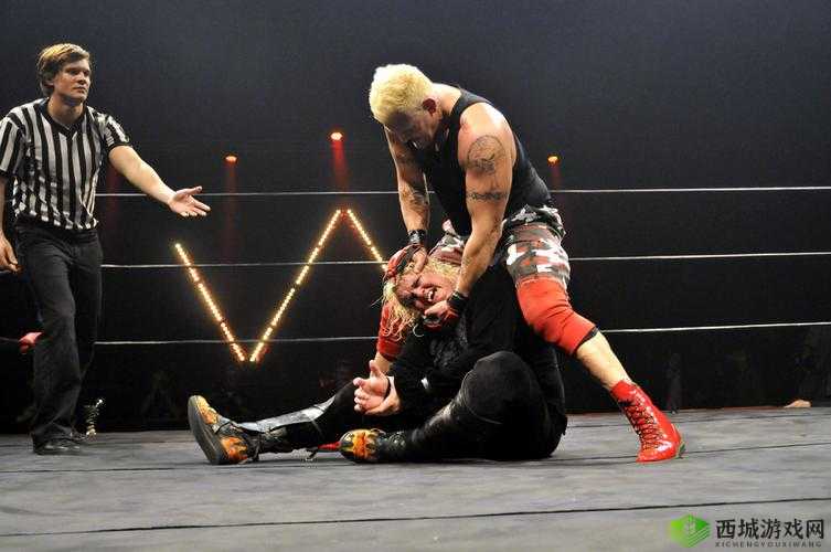 摔跤比赛:wwe 威哥视频 mvp4