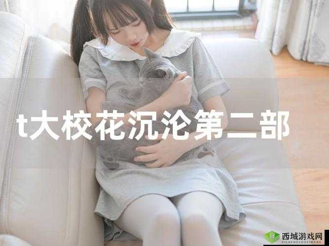 t 大校花的悲和泪最火的一句：那些年的爱恨情仇