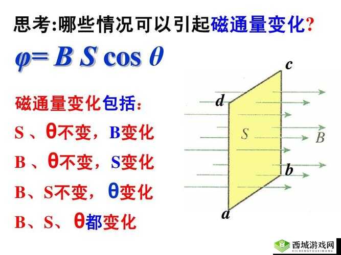 B 大与小的区别：探究其内在因素