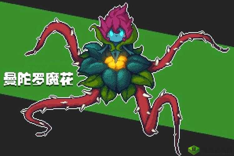 元气骑士曼陀罗花精灵:实力与魅力的完美结合,属性览