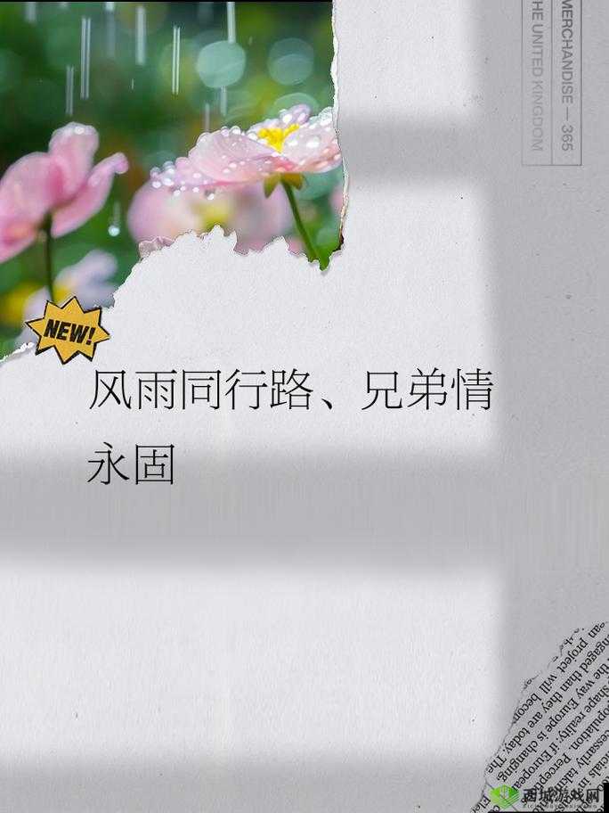 4ph 兄弟默契:携手共进创辉煌