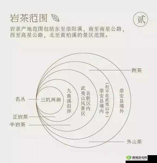 99 品一二三产区区别深度解析剖析