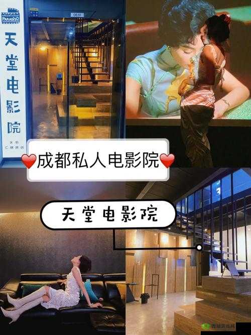 成都私人电影院加盟费用：全面解析与对比