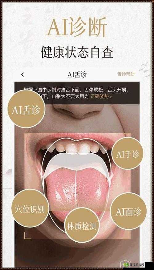 丰年经继拇中文 2 的功能介绍电影:详细解析
