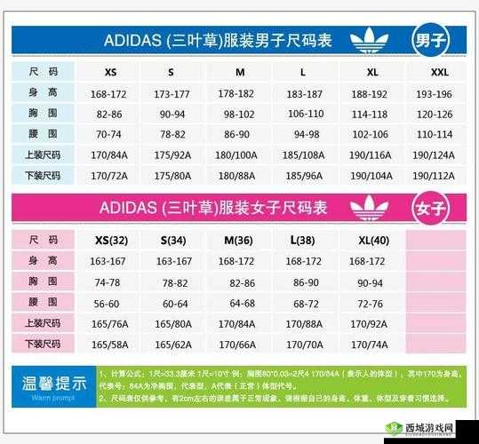 三叶草 M 码和欧洲码的区别分析