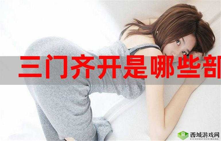 三门同开玩法全解:如何更好地玩三门同开