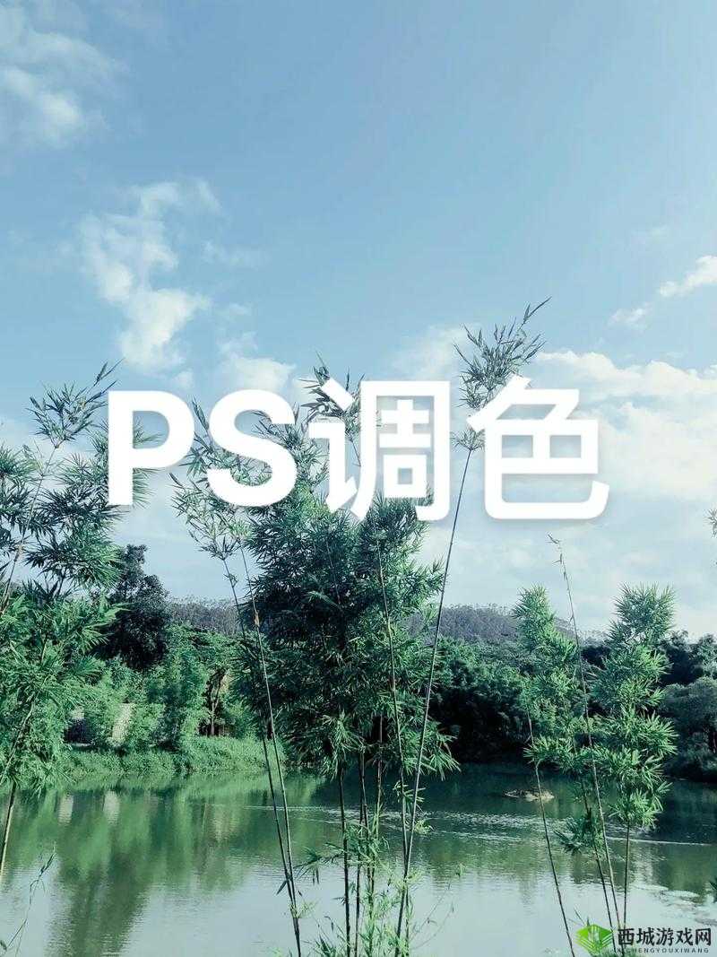 免费 PS 大片段视频调色：专业服务