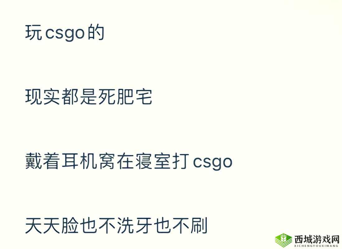 暴躁老阿姨CSGO 剧情解析：深度剖析游戏背后的故事