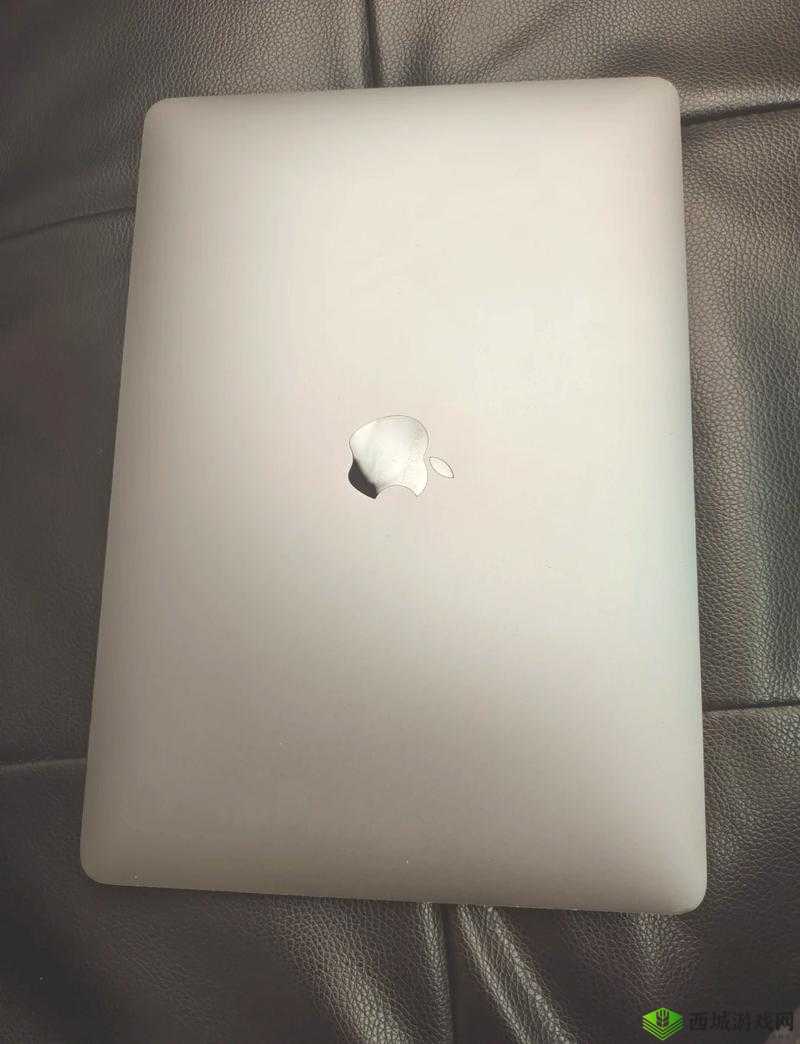 1819 款 MacBook Pro 是否值得购买:性能、设计与价格的权衡