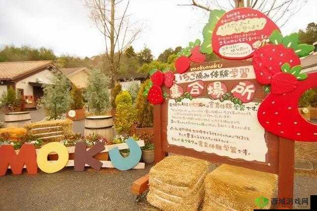 日本母亲农场特色农牧产品:优质的选择