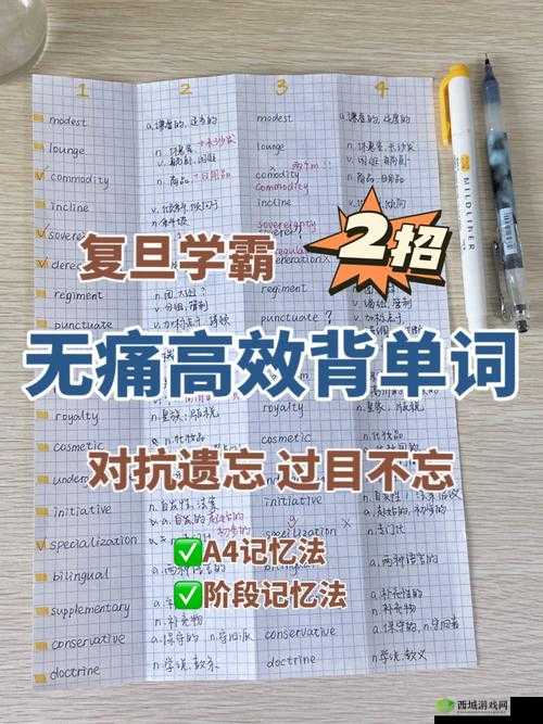 学霸的大紫根上背单词:提高学习效率的神奇方法