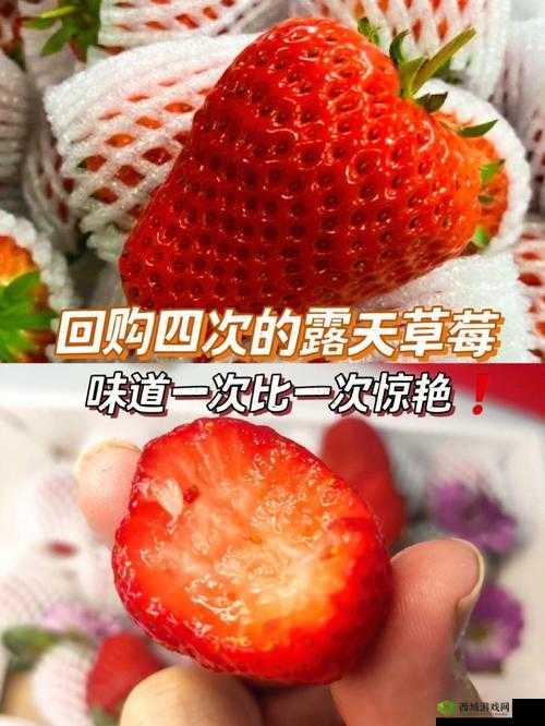 迈开腿吃草莓:健康生活新方式