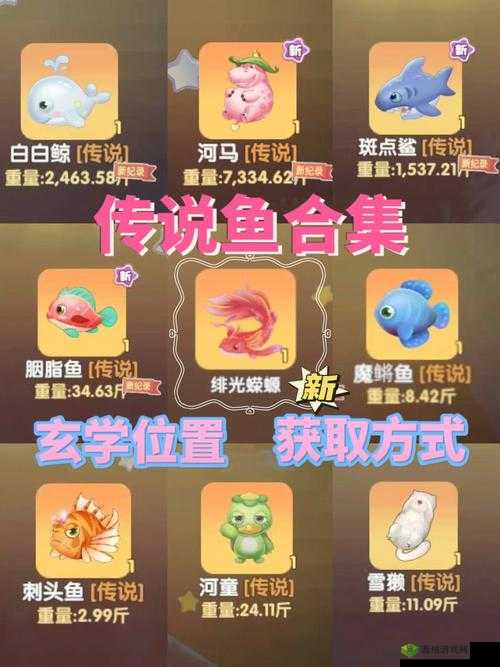 摩尔庄园手游攻略:获取特殊鱼饵的独特方法