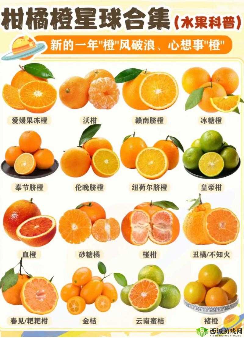 可不可以 PO 橘子糖水:甜蜜的诱惑