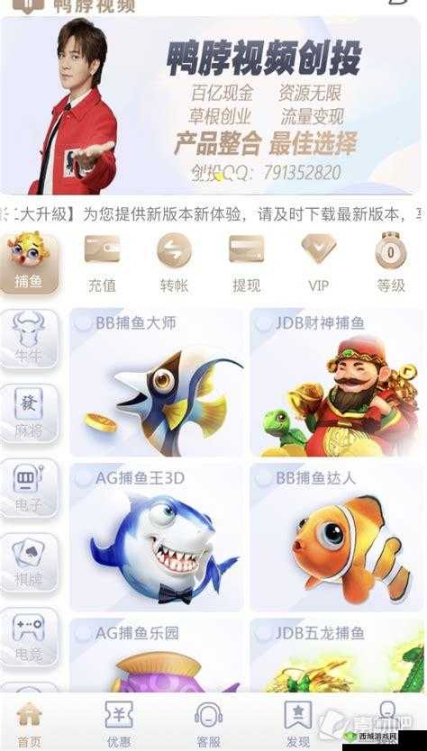 丝瓜草莓小猪鸭脖视频 APP 免费：畅享精彩内容