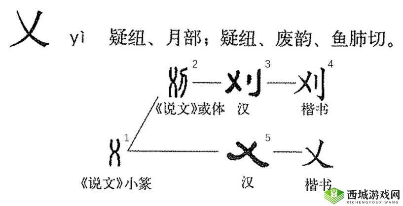 搡多毛 BBBB╳╳乂乂H:独特神秘的存在