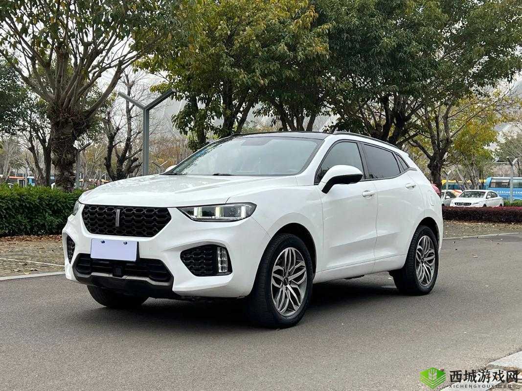 WeyVV5 国产的 SUV 视频:魅力展现之旅
