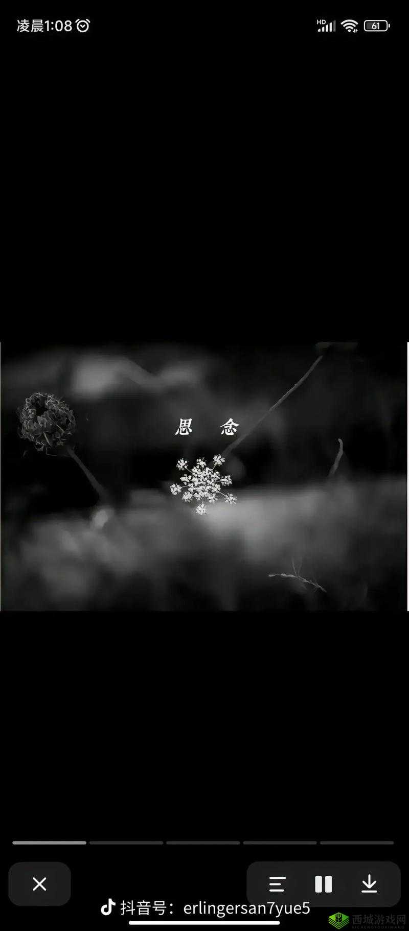 看不见的真相:玫瑰花忌日,揭开隐藏的真相