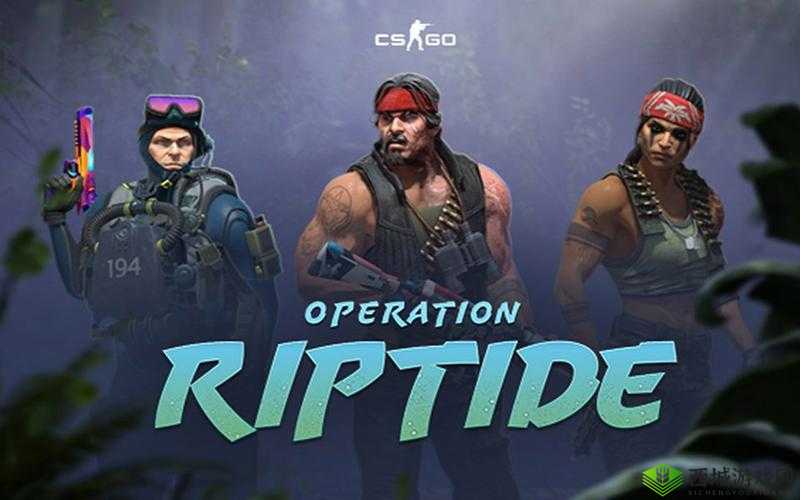 csgo 高清大片大全免费观看:热血激战、震撼特效