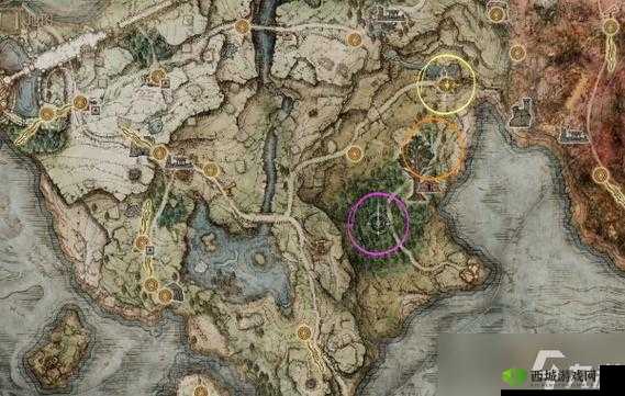 艾尔登法环雾林废墟攻略:地图定位与全流程图文详解
