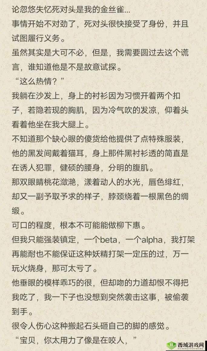双男主车书:速度与激情的兄弟征程