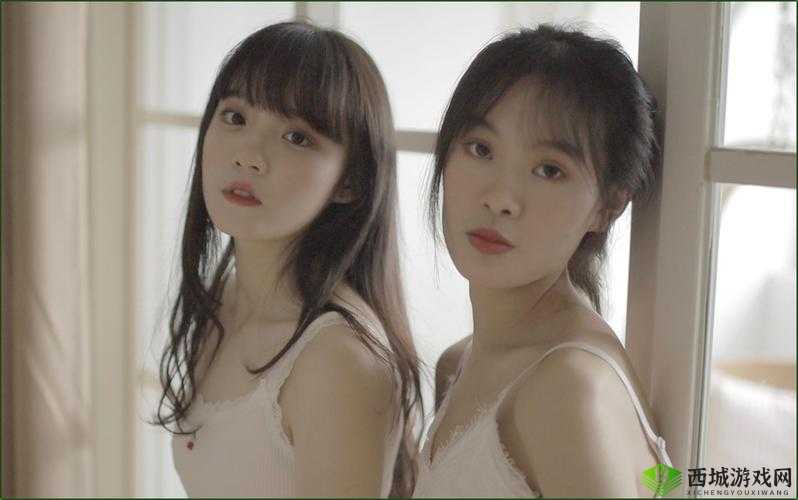少女哔哩哔哩高清在线观看:畅享精彩内容