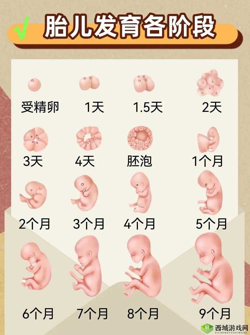 宝宝下面湿透还嘴硬疼:育儿过程中的挑战
