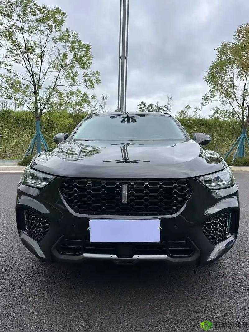 weyvv5 国产的 suv 不再限制观看:畅享自由驾驭体验