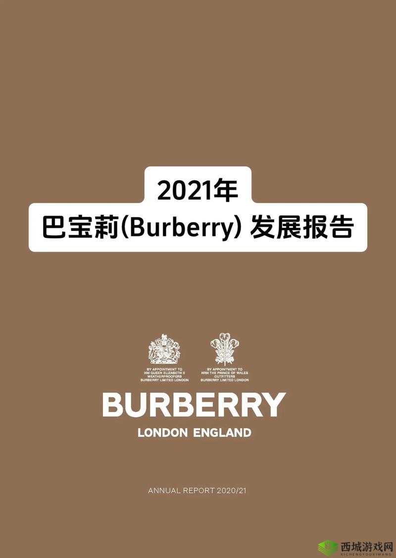 BURBERRY 中文免费版:尽享奢华时尚体验
