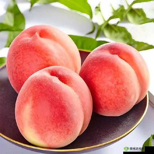水帘洞肉桂水蜜桃 K8:香甜多汁的水果精品