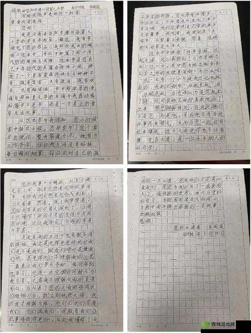 成年人 sss：成长的烦恼与收获