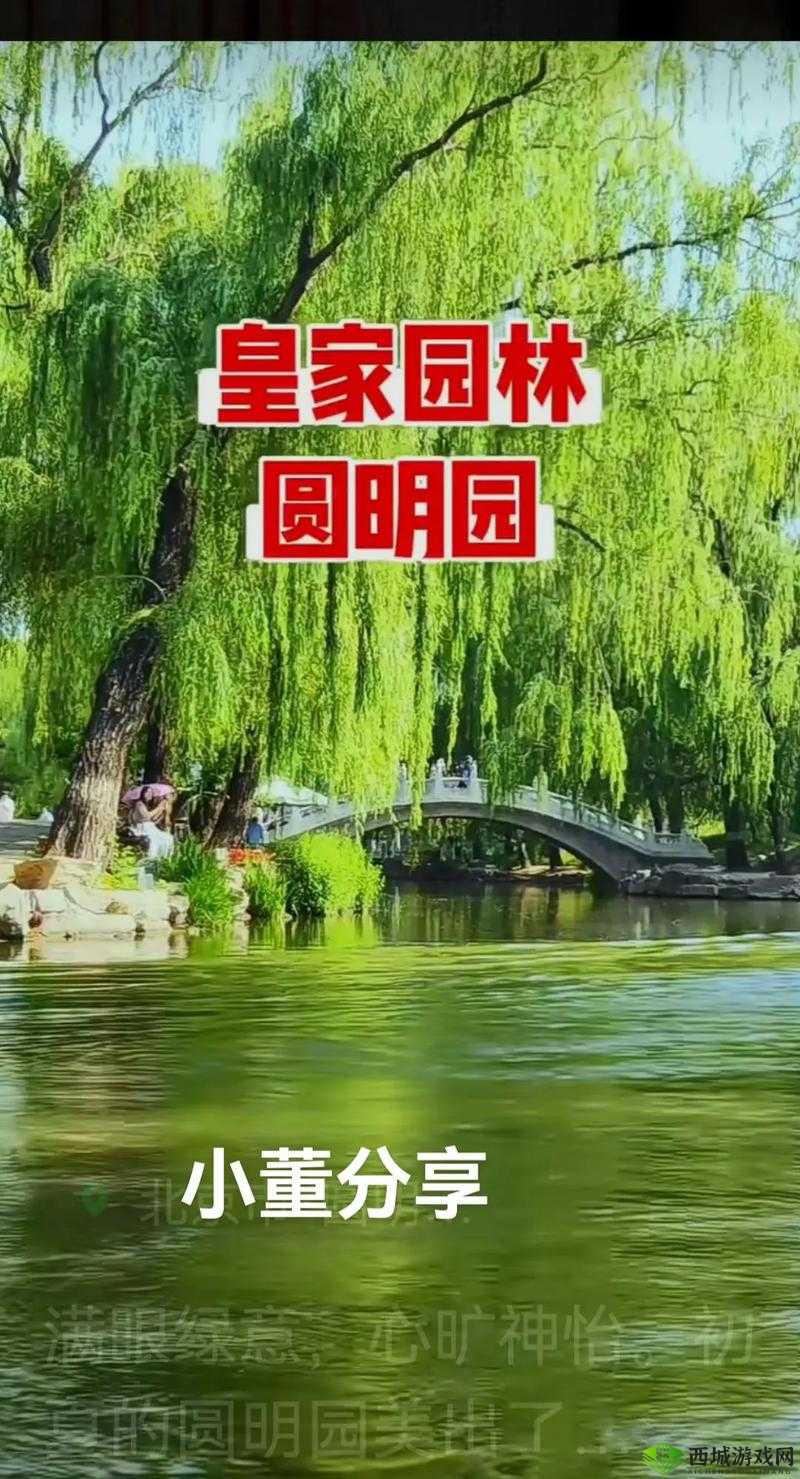 公主在御花园吃龙棍：这画面太美