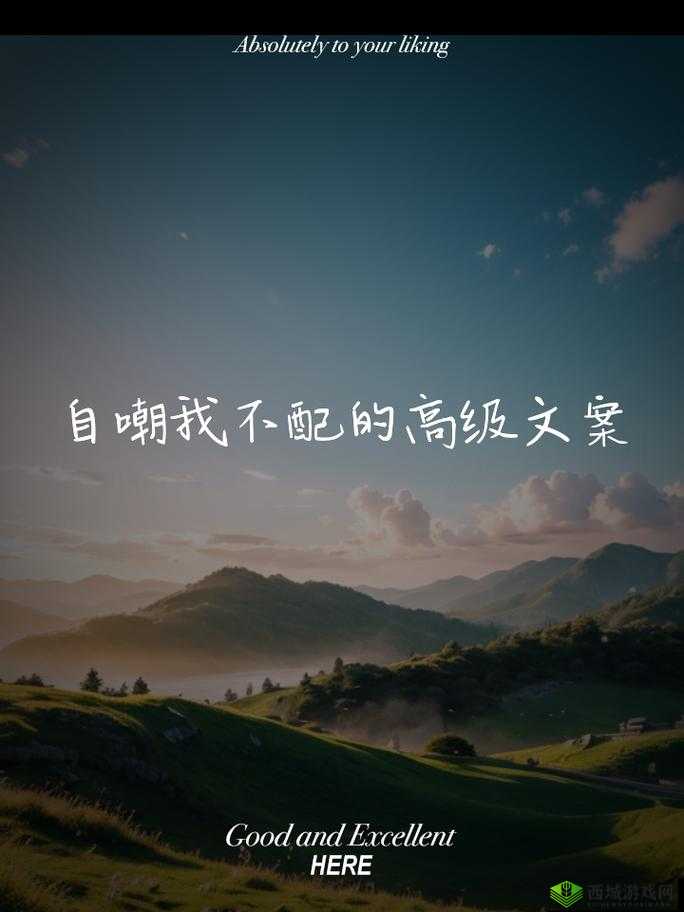 偶像经理人,梦想与现实的交织,经营偶像的甜酸苦辣